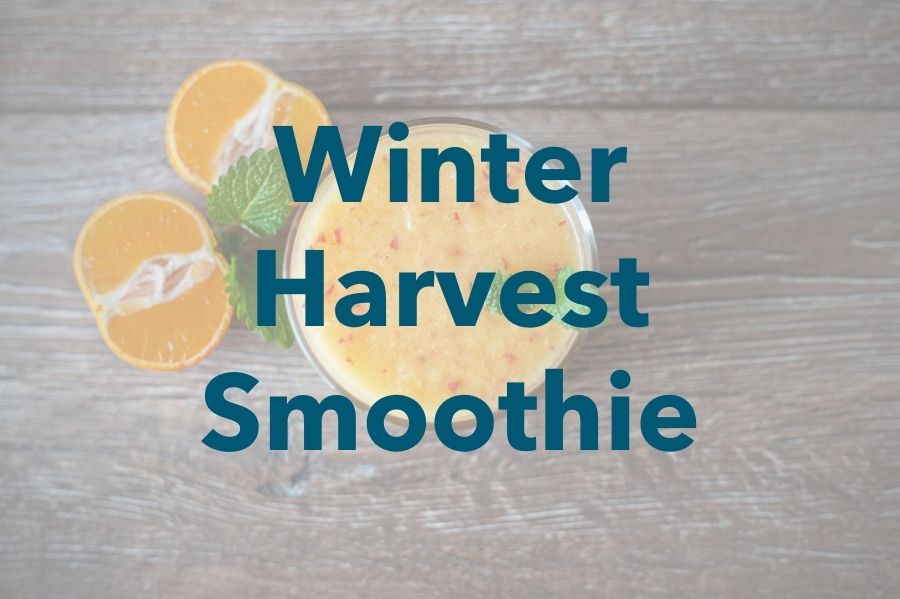 Winter Harvest Smoothie – Nutrition For Longevity Meal Delivery