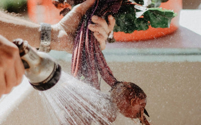 How to Effectively Clean Your Produce